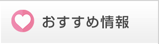 特別限定価格